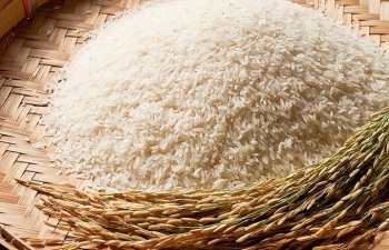 Mặt hàng gạo trong đàm phán thương mại: Vấn đề nhỏ mà không nhỏ