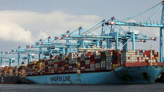 Ba hãng tàu lớn bị điều tra về tăng cước phí vận tải biển
