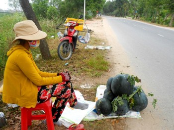 Dưa hấu Việt khó xuất sang Trung Quốc vì không cạnh tranh nổi với dưa Lào, Myanmar