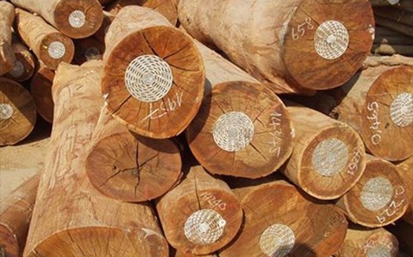 Hệ thống bảo đảm gỗ hợp pháp Việt Nam