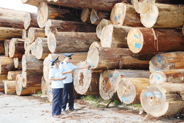 Tìm cách hóa giải thách thức trong nhập khẩu gỗ nguyên liệu