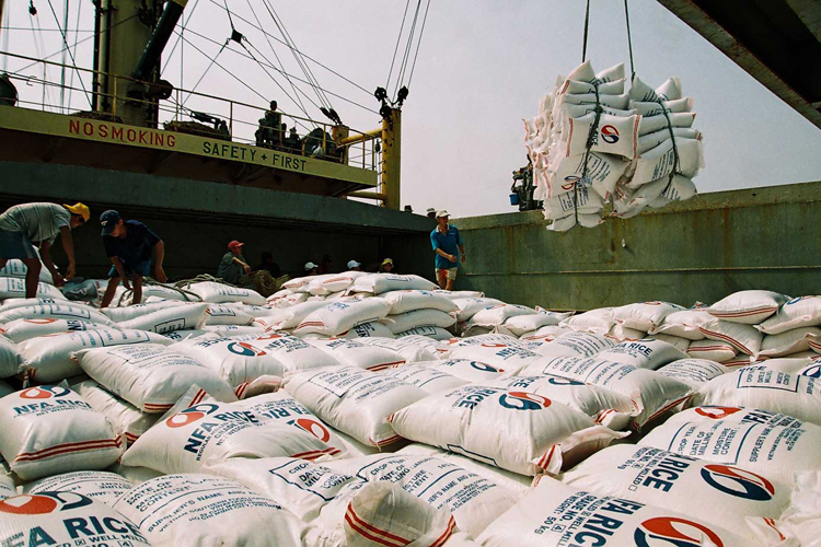 Tạo điều kiện cho doanh nghiệp xuất khẩu gạo
