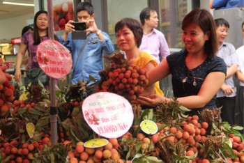 Xây dựng thương hiệu nông sản: Cần chương trình tổng thể