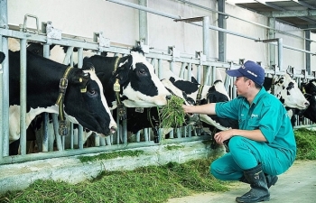 Phát triển ngành sữa: Dư địa rộng mở