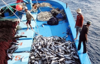 Gỡ “thẻ vàng” cho hải sản: Sẽ xử lý nghiêm chủ tàu vi phạm