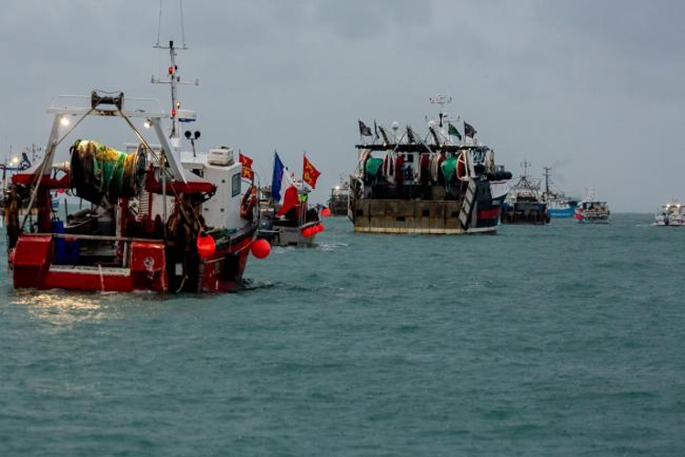 EU cáo buộc Anh vi phạm thỏa thuận thương mại hậu Brexit về giấy phép thủy sản