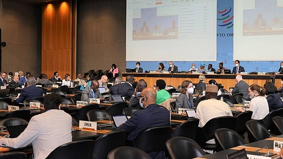 WTO nỗ lực vượt khó để đạt thỏa thuận cấp bách cho Hội nghị Bộ trưởng