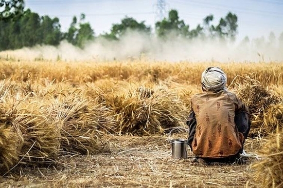 Báo cáo toàn cầu về khủng hoảng an ninh lương thực đạt mức cao mới