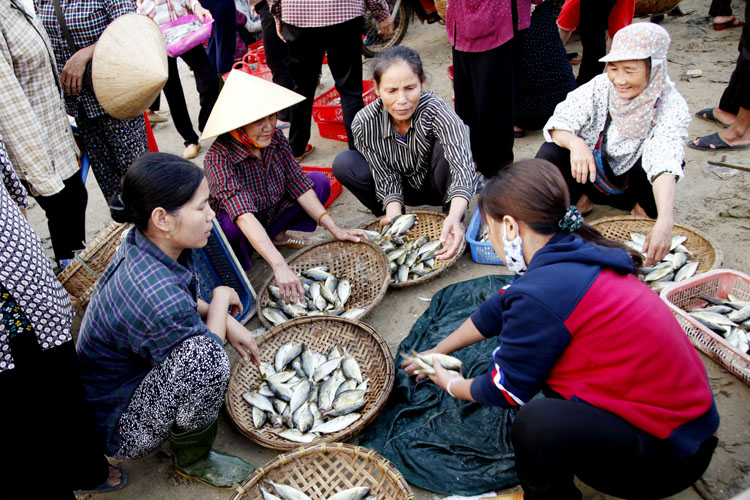 Nghệ An: Phát huy vai trò kinh tế biển