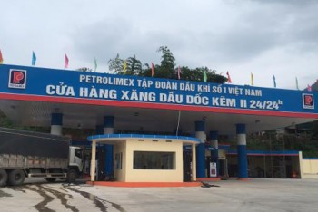 Báo động xâm phạm nhãn hiệu Petrolimex