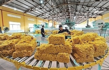 Trung Quốc tăng nhập khẩu cao su Việt Nam