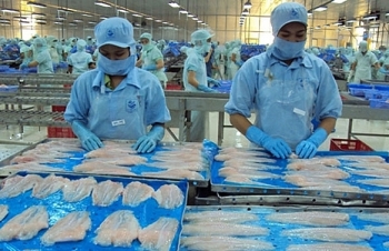 Xuất khẩu cá tra Việt Nam sang EU có dấu hiệu ấm dần