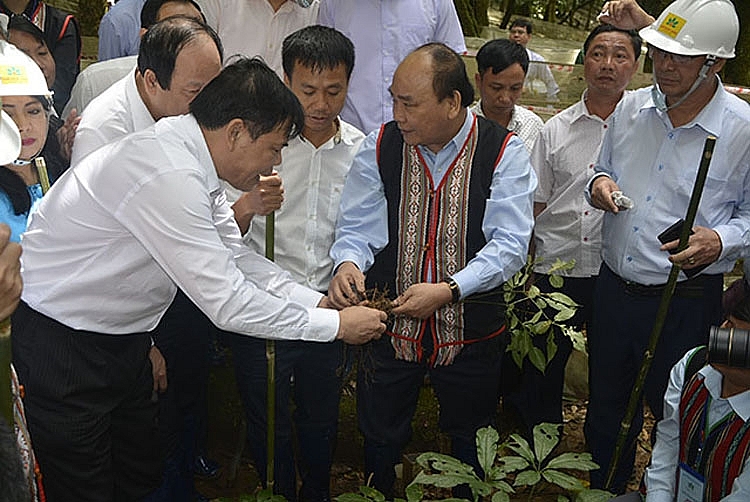 Thủ tướng  Nguyễn Xuân Phúc (nay là Chủ tịch nước) thăm vườn sâm Ngọc Linh ở huyện Tu Mơ Rông,tháng 9-2018 (ảnh Cổng TTĐT Kon Tum)
