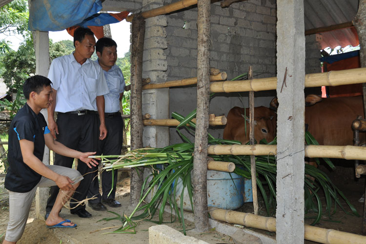 Xây dựng nông thôn mới ở Nghệ An: Gánh nặng nợ đọng