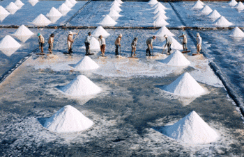 Kiểm soát chặt chất lượng muối nhập khẩu