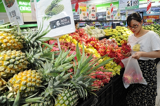 Xuất khẩu rau, quả: Tín hiệu tích cực từ thị trường nhập khẩu