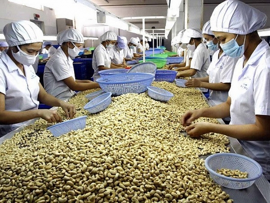 Xuất khẩu hạt điều, chè, hạt tiêu sang Peru hưởng thuế 0%
