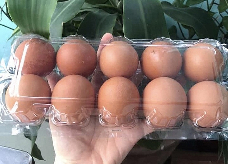 Một số siêu thị ở Hà Nội khuyến cáo mỗi người dân không mua quá 2 vỉ trứng/lần