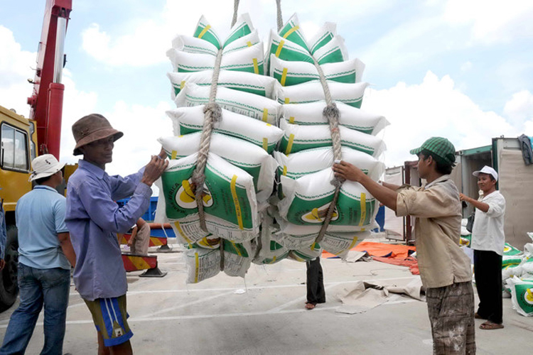 Xuất khẩu gạo: Hướng tới ổn định, bền vững