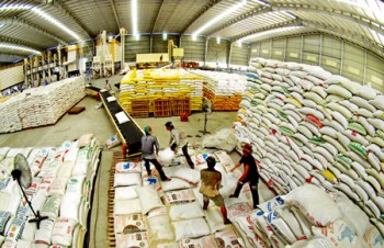 Tăng “chất” cho gạo xuất khẩu