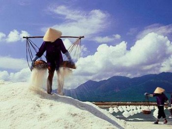 Diêm dân Bạc Liêu vẫn phải bán muối thấp hơn giá quy định