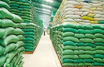 Quy định mới về điều kiện kinh doanh xuất khẩu gạo