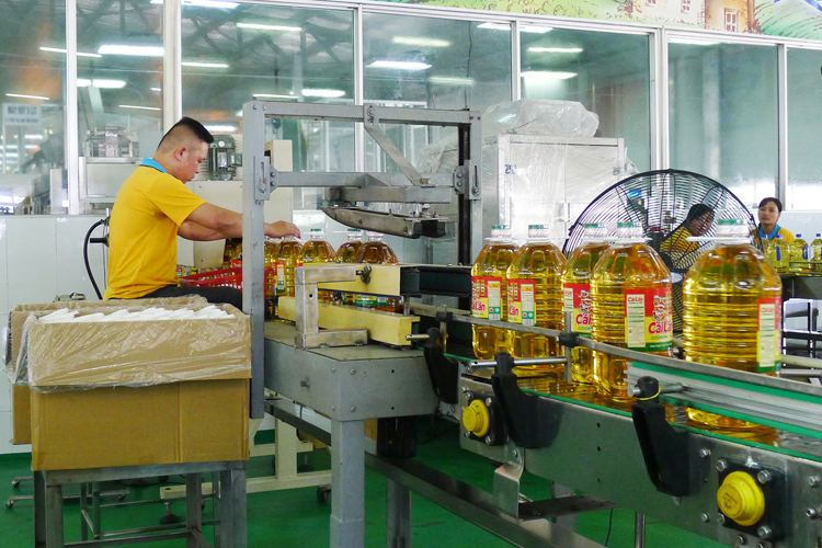Quảng Ninh: Sản xuất công nghiệp khởi sắc