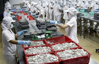 Xuất khẩu mực và bạch tuộc sang các thị trường lớn đều giảm