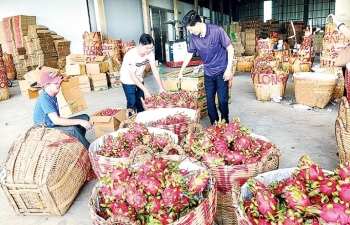 Xuất khẩu rau, quả sang Trung Quốc: Phải thay đổi từ tư duy