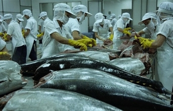 Xuất khẩu cá ngừ tăng trưởng chậm