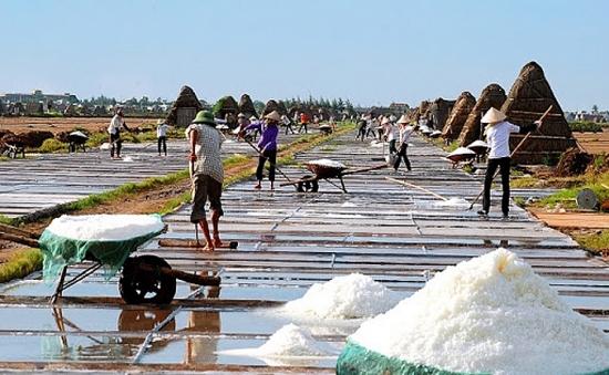 Phê duyệt Đề án phát triển ngành muối