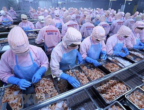 EVFTA: Cơ hội thúc đẩy phục hồi xuất khẩu sản phẩm tôm, cá ngừ vào EU