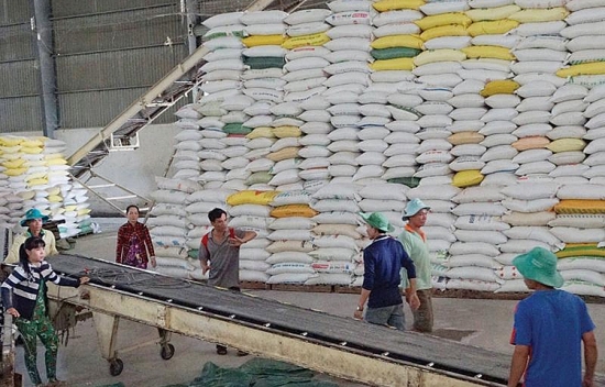 Nâng cao chất lượng gạo xuất khẩu: Yêu cầu bắt buộc