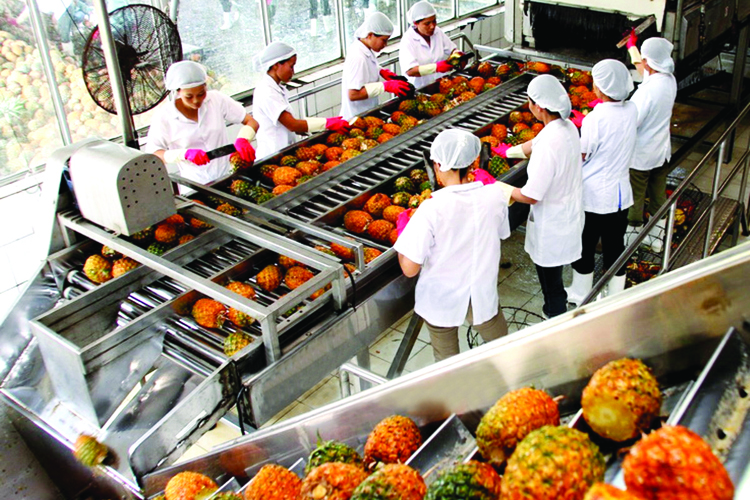 Vietnam Foodexpo 2016: Cơ hội mở cho doanh nghiệp nông sản, thực phẩm