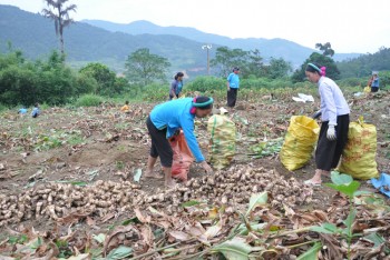 Huyện Bình Liêu (Quảng Ninh): Chú trọng nâng cao thu nhập cho người dân