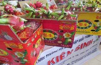 Xuất khẩu nông sản, trái cây qua cửa khẩu Tân Thanh: Nắm bắt tình hình, giảm thiểu thiệt hại