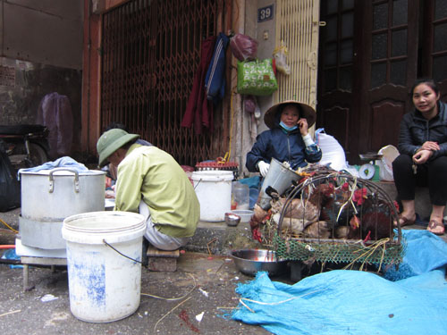 Hà Nội: Kiểm soát chặt kinh doanh gia cầm tại chợ dân sinh