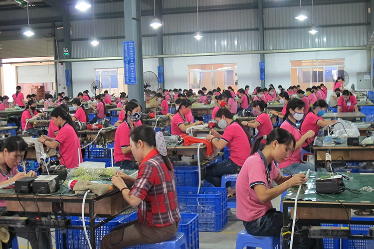 TP. Hồ Chí Minh: Hỗ trợ người lao động tham gia bảo hiểm xã hội