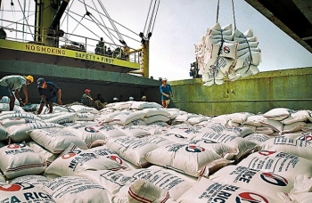 Xuất khẩu gạo: Nhìn lại và hướng tới