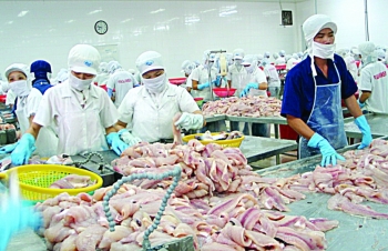 Mekong Delta  provinces experience  export growth