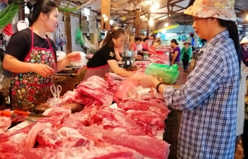 Vietnam’s effort to lower pork prices hogtied by distributors, consumers
