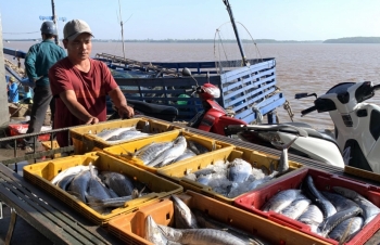 Vietnam anxious for EU to lift illegal fishing warning