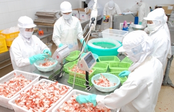Vietnam’s exporters face tougher Chinese food inspection regime
