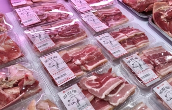 Vietnam’s pork price paradox