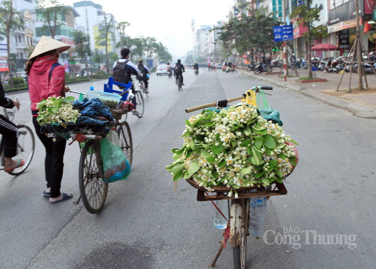 Nồng nàn những gánh hoa bưởi đầu mùa trên phố Hà Nội