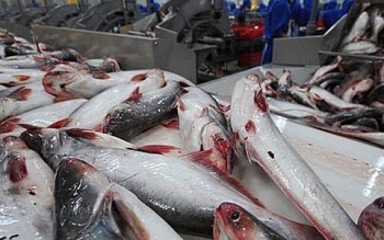Hoa Kỳ giảm mạnh thuế cho cá tra - basa Việt Nam