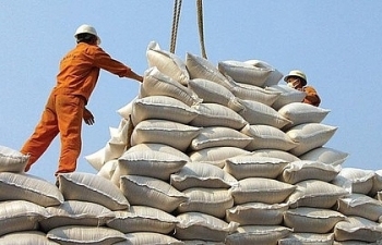 Bộ Công Thương: Doanh nghiệp cần xem xét thận trọng khi xuất khẩu gạo vào Phi-líp-pin
