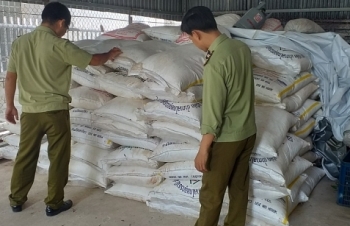 Tiếp tục tạm giữ gần 13 tấn đường cát nghi nhập lậu tại Tây Ninh