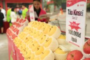 Táo Aomori chính thức được bán ở Việt Nam