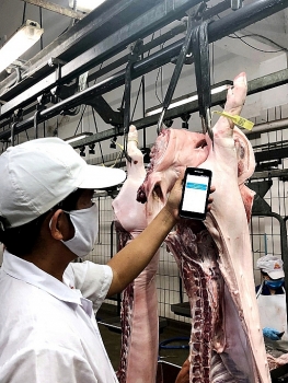 Việt Nam phấn đấu xuất khẩu thịt heo sang Malaysia, Trung Quốc